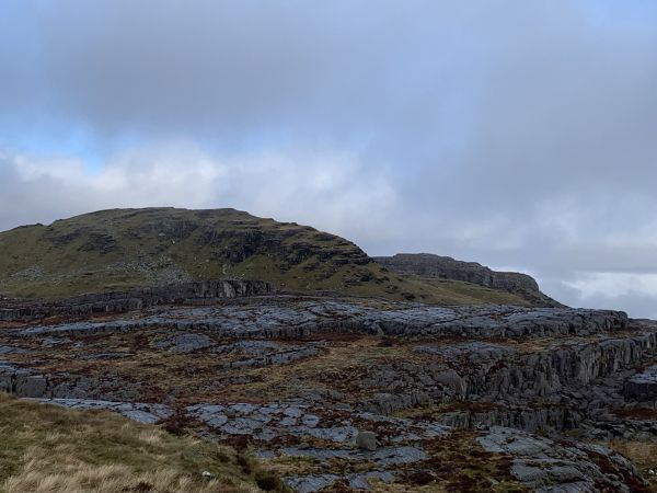 Ysgyfarnogod from Penolau